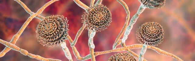 Indijski naučnik zaražen sporama gljive zvanično je postao drugi slučaj u istoriji