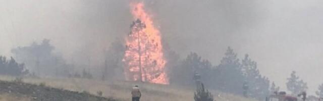 PREKO 80 POŽARA U UŽICU! Suša, vetar, struja i ljudski faktor su najčešći uzroci zbog kojih izbija vatrena stihija!