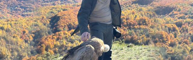 Sup s Peštera ujedinio Srbe i Albance: Moćna ptica sletela u Štrpce, a onda je zabeleženo nešto prelepo