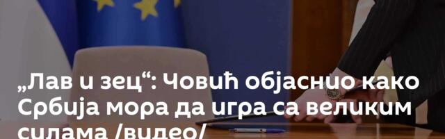 „Лав и зец“: Човић објаснио како Србија мора да игра са великим силама /видео/