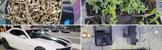 Nema čega nema: Velika zaplena oružja, droge i zlata na Gostunu