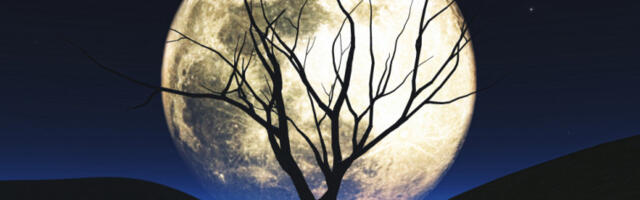 Будућност на месецу – рударење и ротационе мисије космонаута