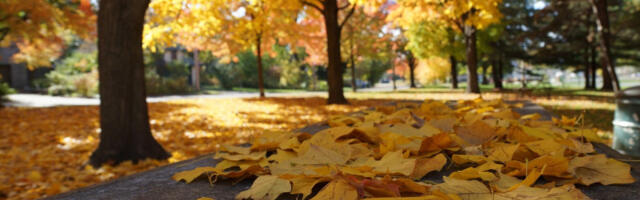 Vetrovito, ali toplije: Biće i oblaka i sunca, a evo kada se očekuje novo pogoršanje vremena