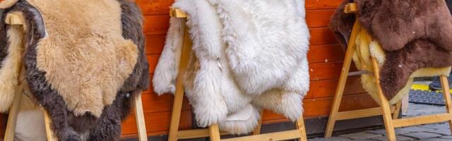 NAJVEĆI PROIZVOĐAČ KRZNA U EVROPI PRAVI RADIKALAN ZAOKRET: Sve farme moraju biti zatvorene!