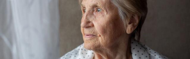 Ovde u Srbiji se još živi "lepim i mirnim životom": Između Bačke Palanke i Novog Sada slike kao sa razglednica