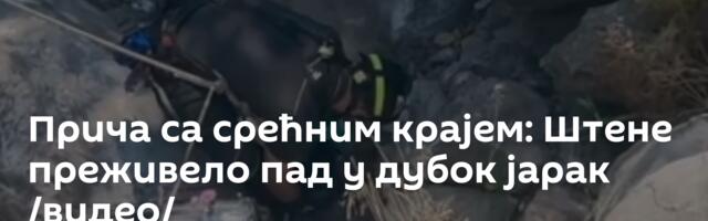 Прича са срећним крајем: Штене преживело пад у дубок јарак /видео/