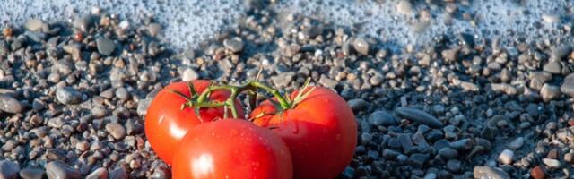 Hrana koja će vas rashladiti tokom vrelih letnjih meseci