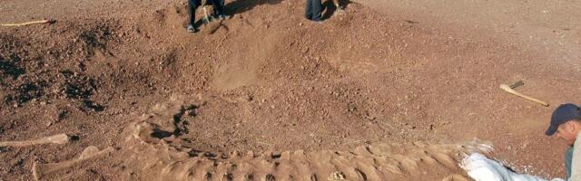 Pronađeni ostaci "dinosaurusa iz pakla"