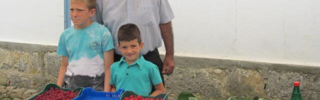 Dan maline u Brankovini