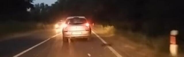 Dramatičan snimak pada drveta na auto (VIDEO)