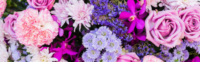 Тржиште у успону: Србија увезла цвеће у вредности преко 42 милиона евра