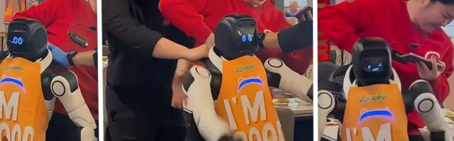 Snimak iz restorana: Robot podivljao, troje radnika ga obuzdavalo, nisu znali da ga isključe