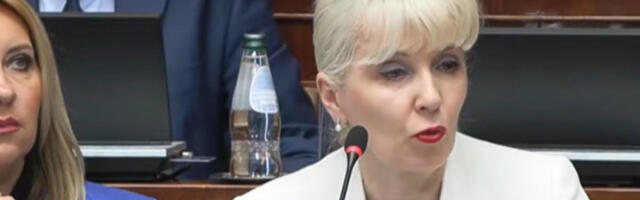 Лазаревић: Закон препознаје пољопривреднике као трговце, изменама се то прецизира