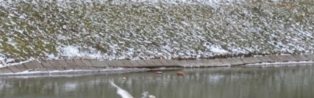 Muškarac se potpuno go prošetao centrom grada, pa se okupao u ledenom jezeru (VIDEO)!