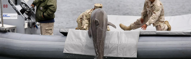 Najpametnije ratno oružje
