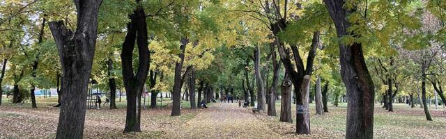Danas zvanično počinje jesen, ali je zato temperatura iznenađujuća za ovo doba godine