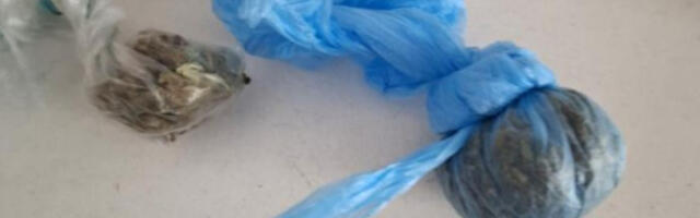 Policajci zatekli maloletnika u Inđiji sa biljkom za koju se sumnja da je marihuana: Kad ih je ugledao dao se u beg