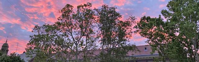 Ovo je razgovor koji se tiče svih nas: Koliko je zdrava sredina u kojoj živimo?