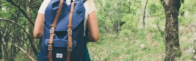 PAO JOJ KAMEN NA GLAVU: Turistkinja tuži Sloveniju! Nećete verovati KOLIKO PARA hoće od države