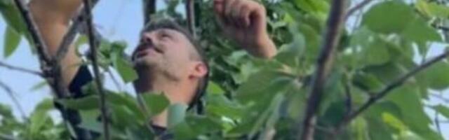 MILANE, ŠTA NAPRAVI? Glumac uhvaćen u krađi, ušao u tuđe dvorište pa ga komšija ovde zatekao, POJAVILE SE FOTKE