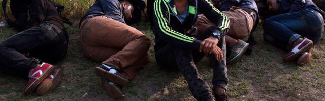 Gradonačelnik Subotice građanima: Ne pomažite migrantima