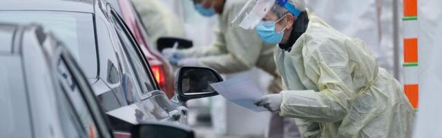 Naučnici otkrili koja bi životinja mogla da pokrene NOVU EPIDEMIJU, a jedna stvar posebno brine