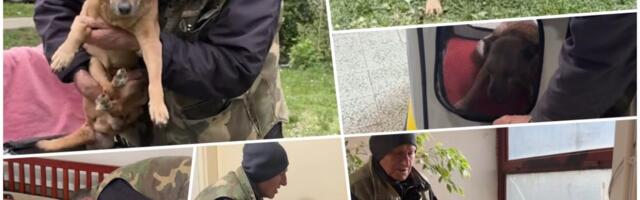 KO SU IVICA I BOBI SA SLIKE KOJA JE RASPLAKALA REGION: Njih dvojica su jedan drugom sve na svetu, deka i njegov ostareli pas već 15 godina dele i dobro i zlo