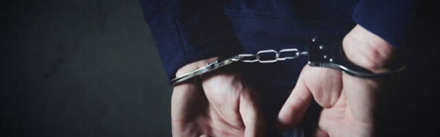 Интерпол ухапсио Стефана Радовића, наводног члана београдске ћелије кавчана