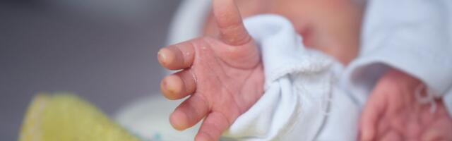 Najlepše vesti ovog dana: Ovaj grad je doživeo nezapamćeni "bejbi bum"!