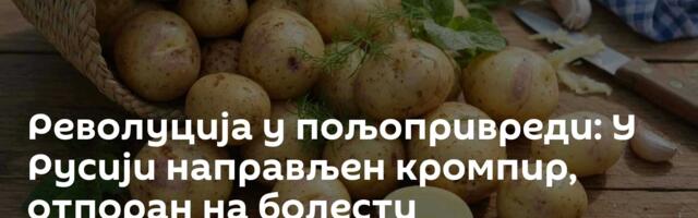 Револуција у пољопривреди: У Русији направљен кромпир, отпоран на болести