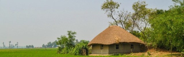 Da bismo požnjeli moramo prvo da posejemo