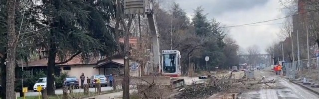 Kratka horor priča kako je nestao drvored na Banjici