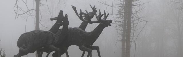 Vazduh u Srbiji najzagađeniji u regionu, očekuje se da košava malo poboljša stanje