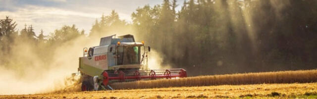 Odlična žetva u Rusiji