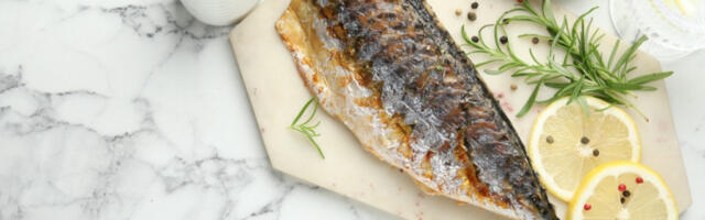 Ovo je NAJZDRAVIJA RIBA NA SVETU: Bolja je i od lososa, a to nije nimalo slučajno!