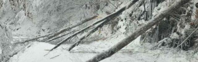 Vanredno u 11 opština u Srbiji, evakuisano 37 ljudi