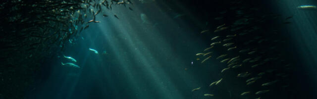 Руски научник: Док не видите нешто својим очима, не можете рећи да сте то проучавали