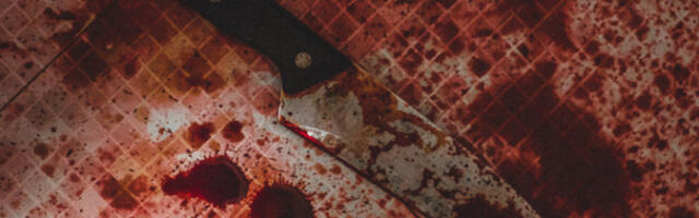 IZBODEN POLICAJAC TOKOM INTERVENCIJE U SREMČICI! Teško povređen! RANIO GA MUŠKARAC KOJI JE BUŠIO GUME!