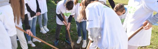 SBB Foundation plants saplings in western Serbia