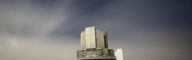 Pronađeni skriveni džin i smeđi patuljak