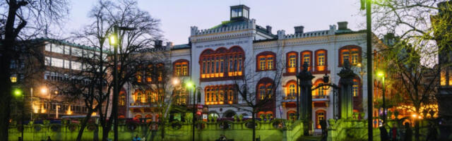 Ђокић води Универзитет надоле