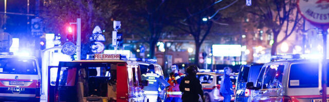 AUTOMOBIL PUN LJUDI SLETEO U DUNAV Spasioci na licu mesta, drama u Austriji