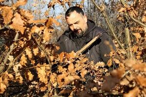 Обичаји за Бадњи дан – бдење, пијукање, крцање ораха и обавезно дрен
