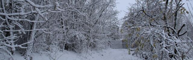 Poslednji sunčan dan: Kreće haos - Sneg će nam biti najmanja briga