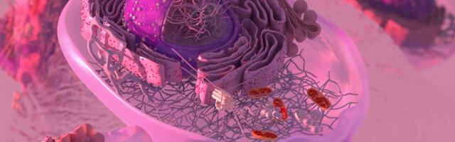 Naučnici pronašli bezbedniji način da ćelije sagorevaju više kalorija