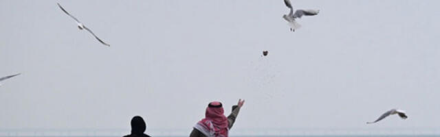 Заливске земље подржале суверенитет Кувајта након ажурираних поморских граница Ирака