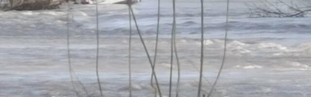 BUJICA NOSILA KOMBI KOD PETROVA! Spasioci uspeli da evakuišu putnike sa krova vozila! Objavljene fotografije dramatičnog događaja (FOTO)