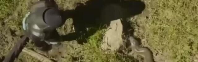ČOVEK DOZVOLIO DA GA PROGUTA OGROMNA ZMIJA: Obukao specijalno odelo, a onda su stvari BRZO KRENULE PO ZLU (VIDEO)
