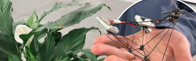 Pogledajte kako "Dron duh" gotovo nestaje pred očima: Naučnici objasnili kako radi