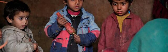 VIŠE OD 17 MILIONA LJUDI GLADUJE U AVGANISTANU! Katastrofa u zemlji kojom vladaju talibani, samo u godinu dana broj se povećao za dodatna tri miliona (FOTO)